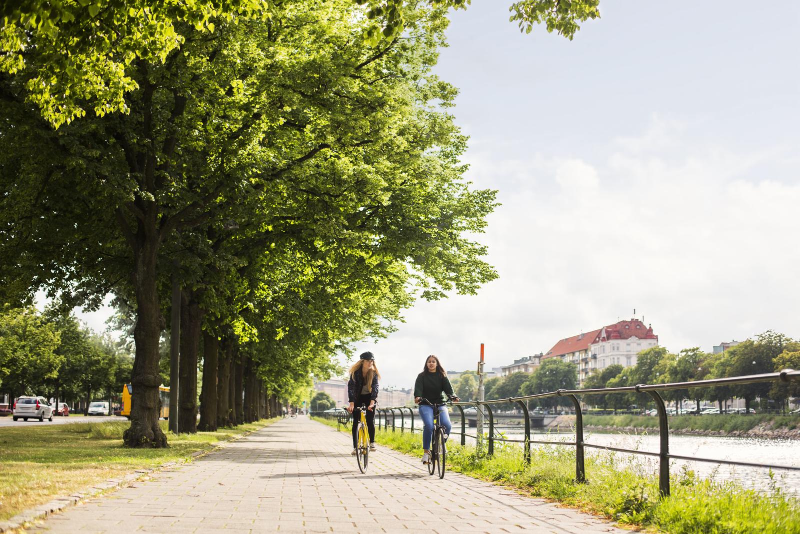 Cyclists on a tree-lined riverside path