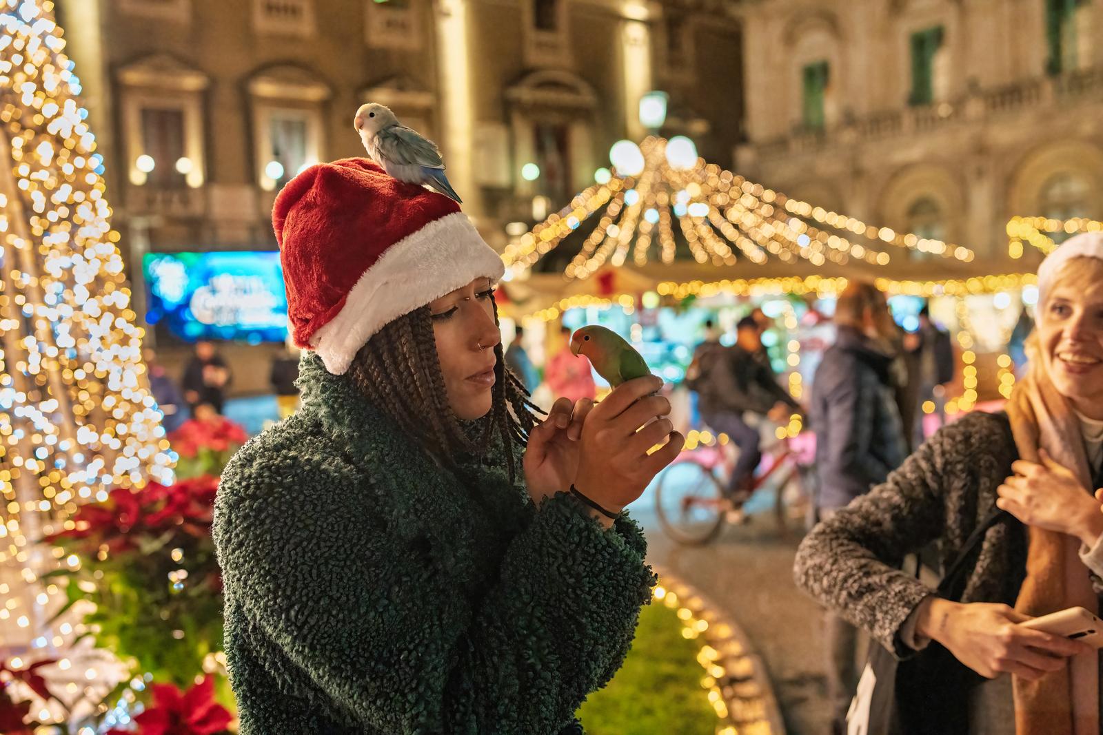 Christmas market lights in Rome